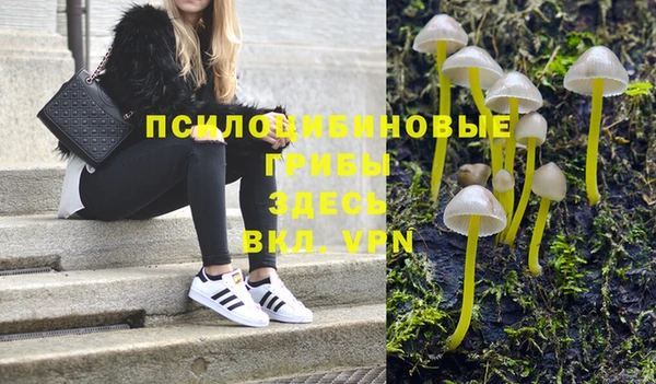 первитин Абаза